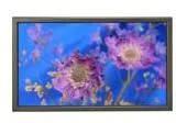 NEC PLASMASYNC 61XM2 61INCH silver Gümüş TV