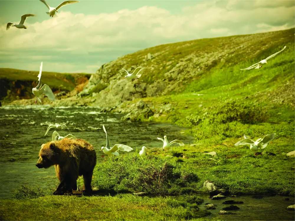 HP Managed Component Processes COMPPROC Diğer