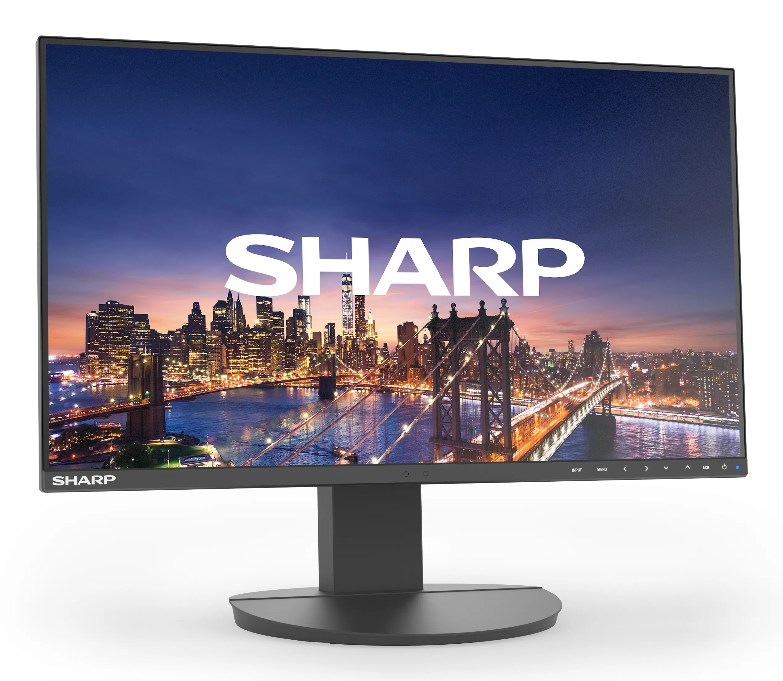 Sharp MultiSync EA241F DDEA241F 24 inç Full HD IPS Monitör